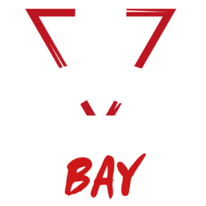 chemistry bay logo white 512 (1)