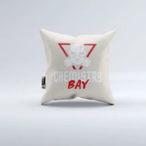 Chemistry bay Pillow